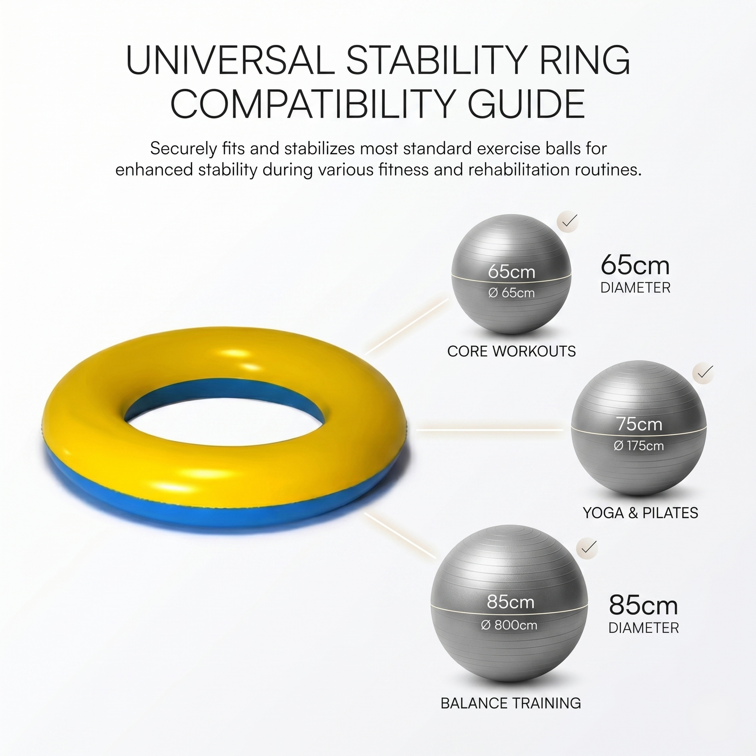Compatible With Most Standard Exercise Balls