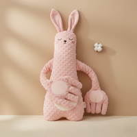 Pink Rabbit